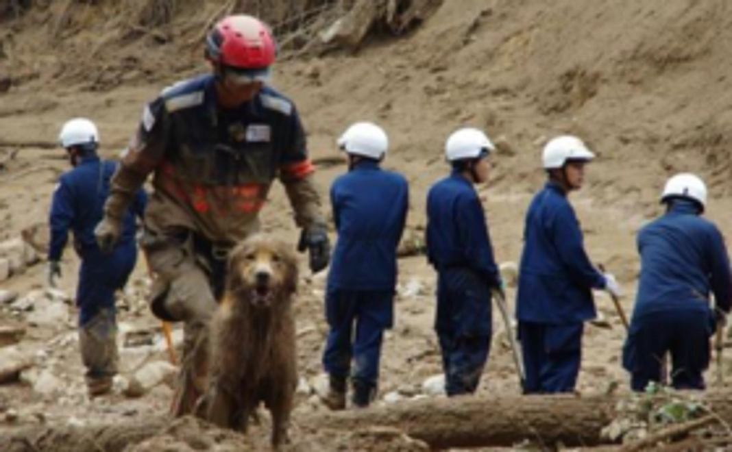 サンクスレター（視察の報告を含む）