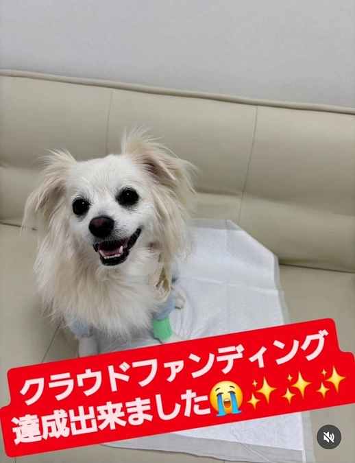 目標金額達成しました😭✨️