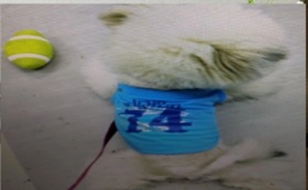 (千円)アール応援コース（リターン不要)