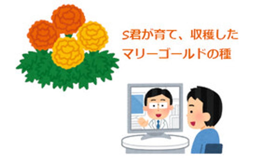 （お気持ち上乗せ）Sくんが育てた花の種 + オンライン講習会 コース