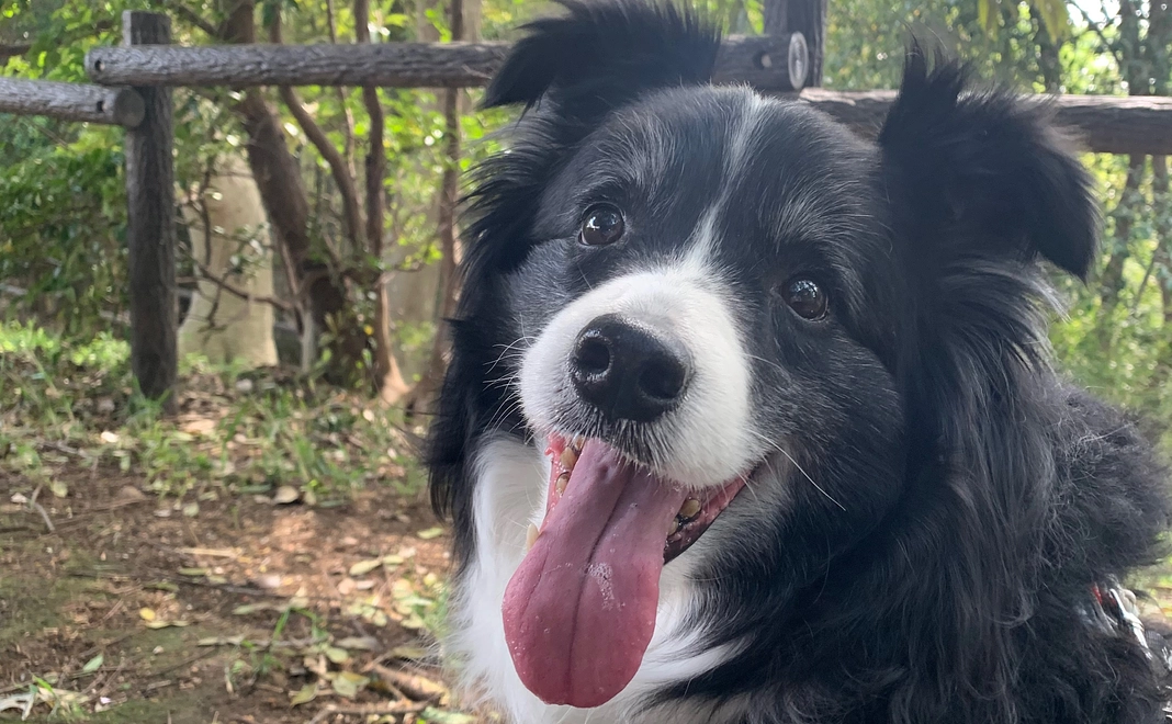 リターン不要【1】