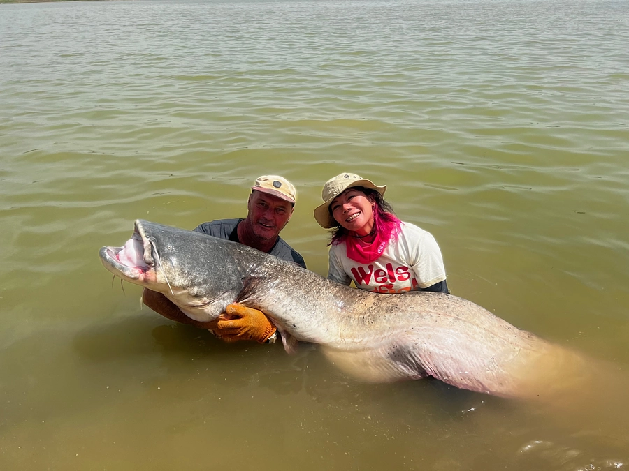 ありがとうございました！