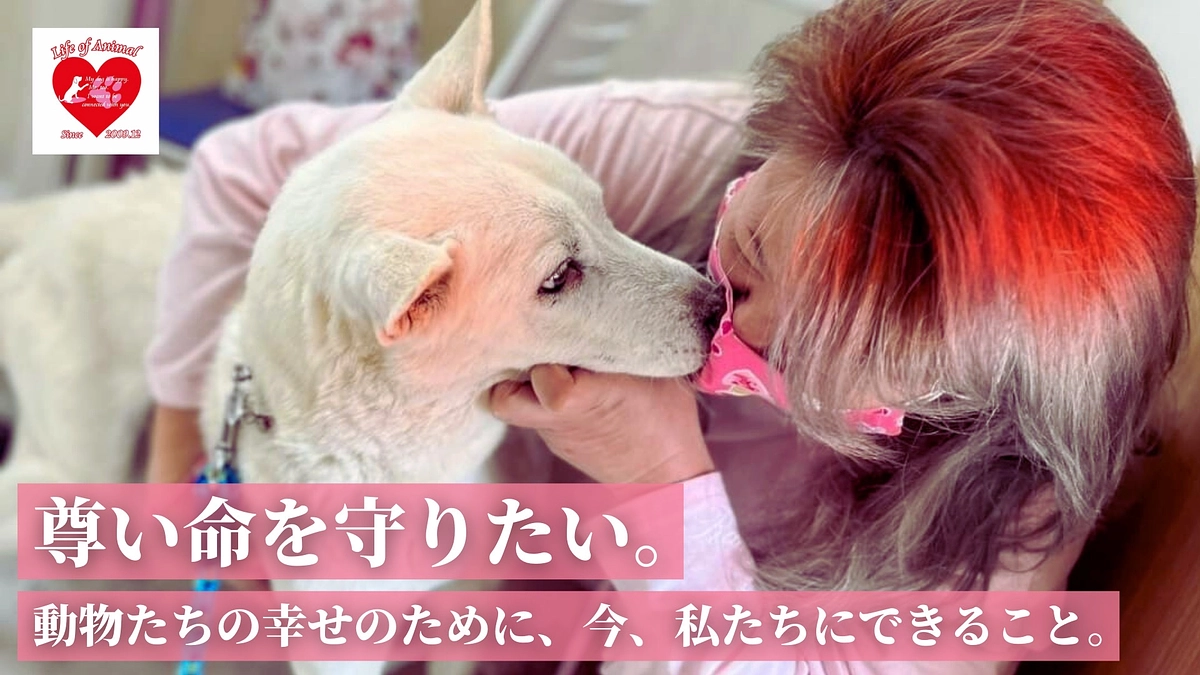 ４１日間のあいだに!!