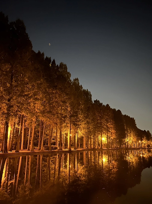 メンバーブログリレー8.