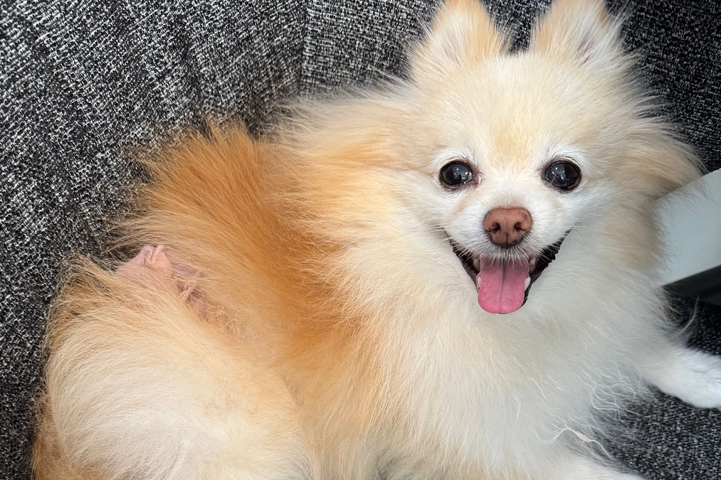 私が休日の時のちゅらさん