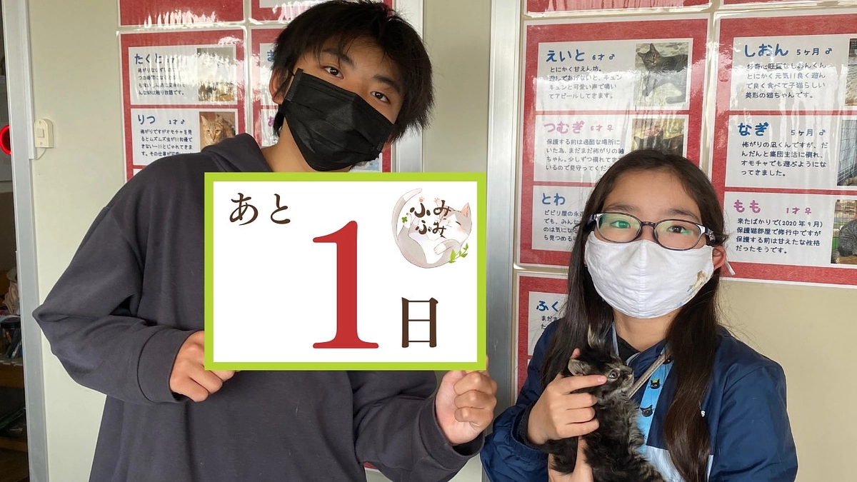 ありがとうございます