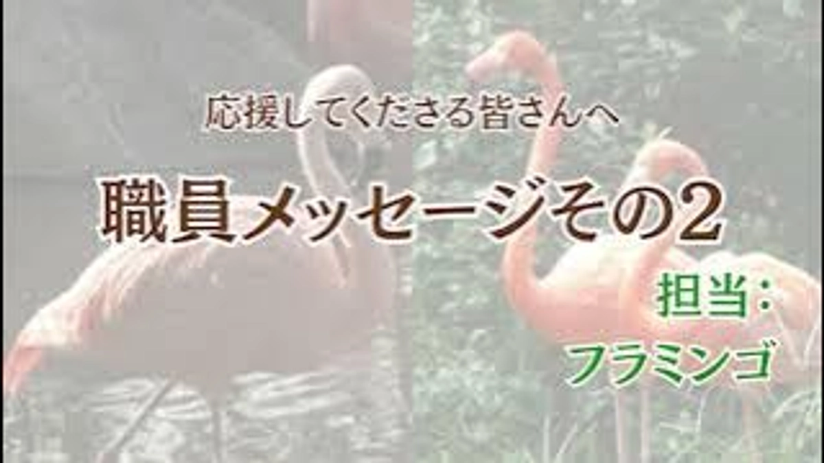 職員メッセージ第二弾〜職員から皆様に届ける思い〜
