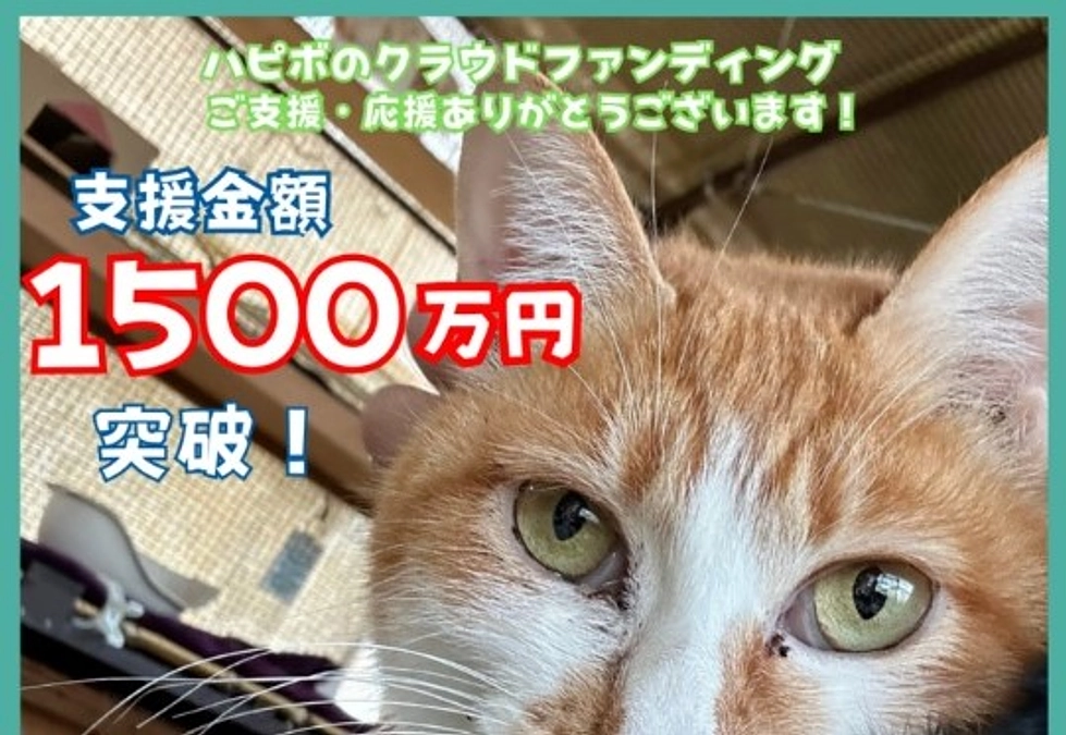 【1500万円突破！】ネクストゴールのSTEP1到達へ！温かいメッセージに背中を押していただいてます