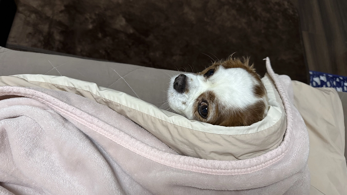 本日もありがとうございます【23日目】