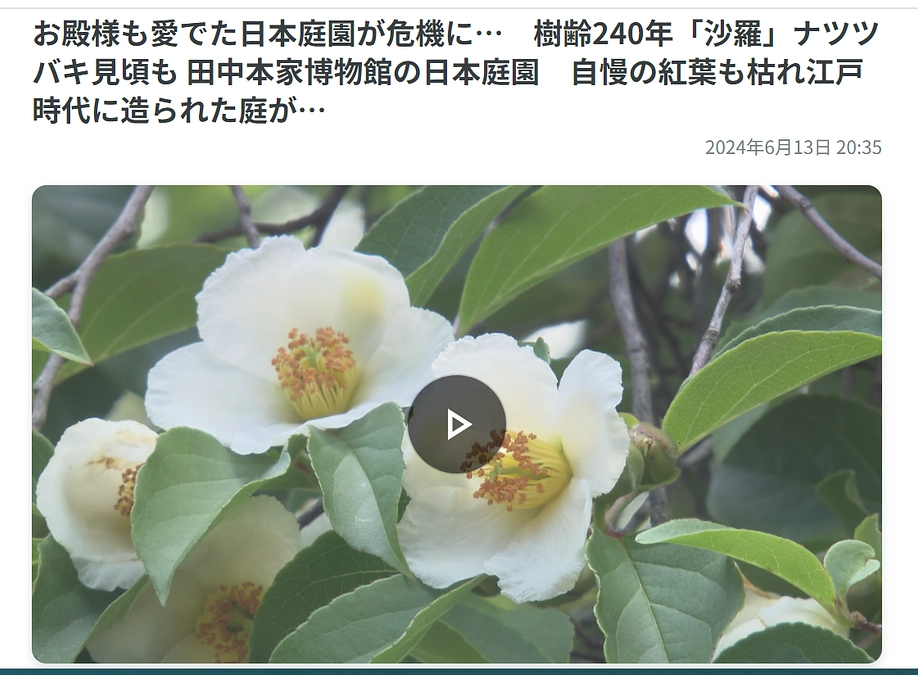 地元テレビ局「テレビ信州」に当館クラウドファンディングを取りあげていただきました。