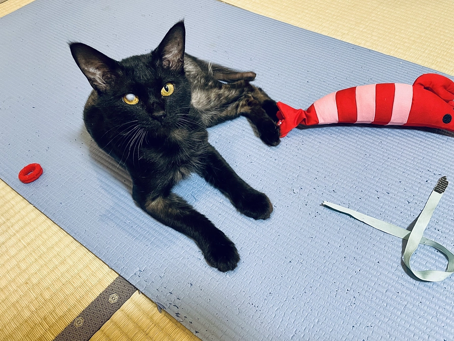 6/18 リハビリおもちゃ