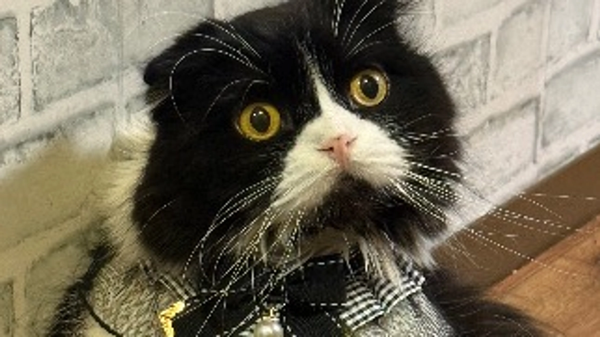 仕事から帰ってきたらトイレとお尻のチェック