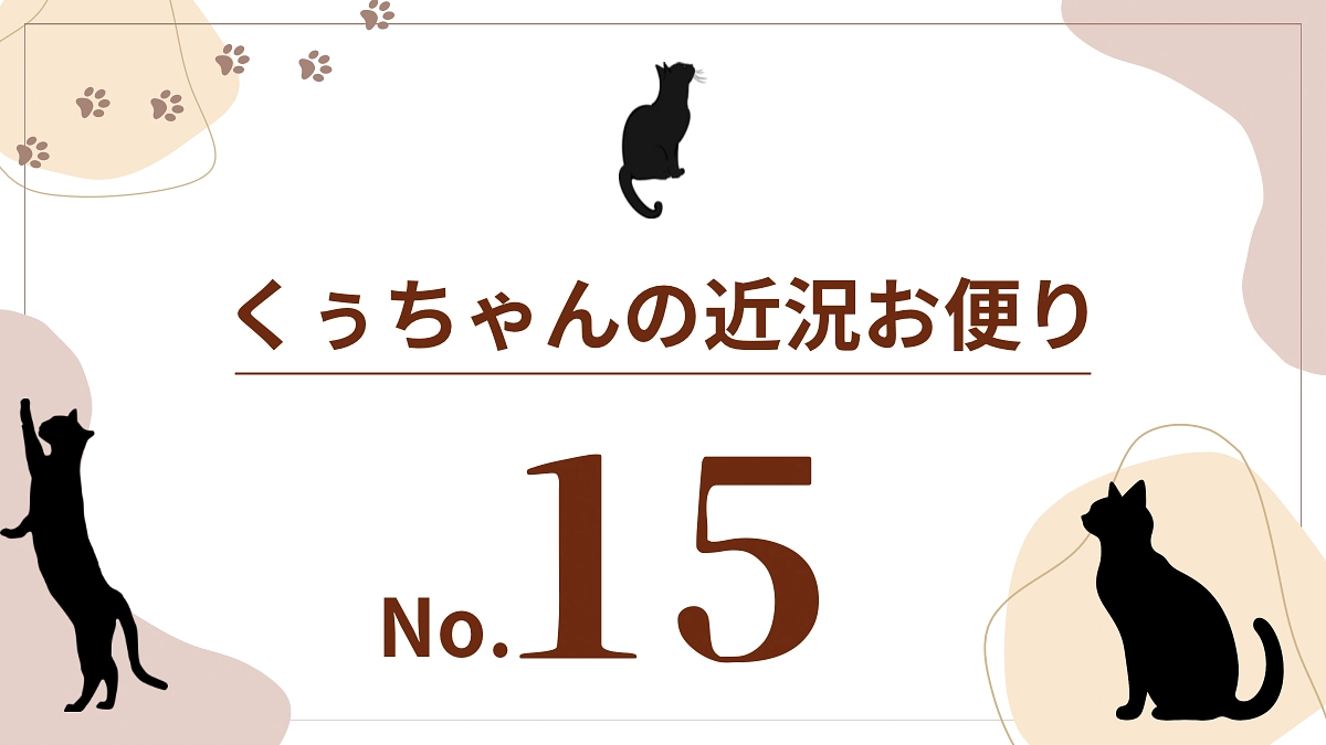 【くぅちゃんの近況おたより（8月22日）】