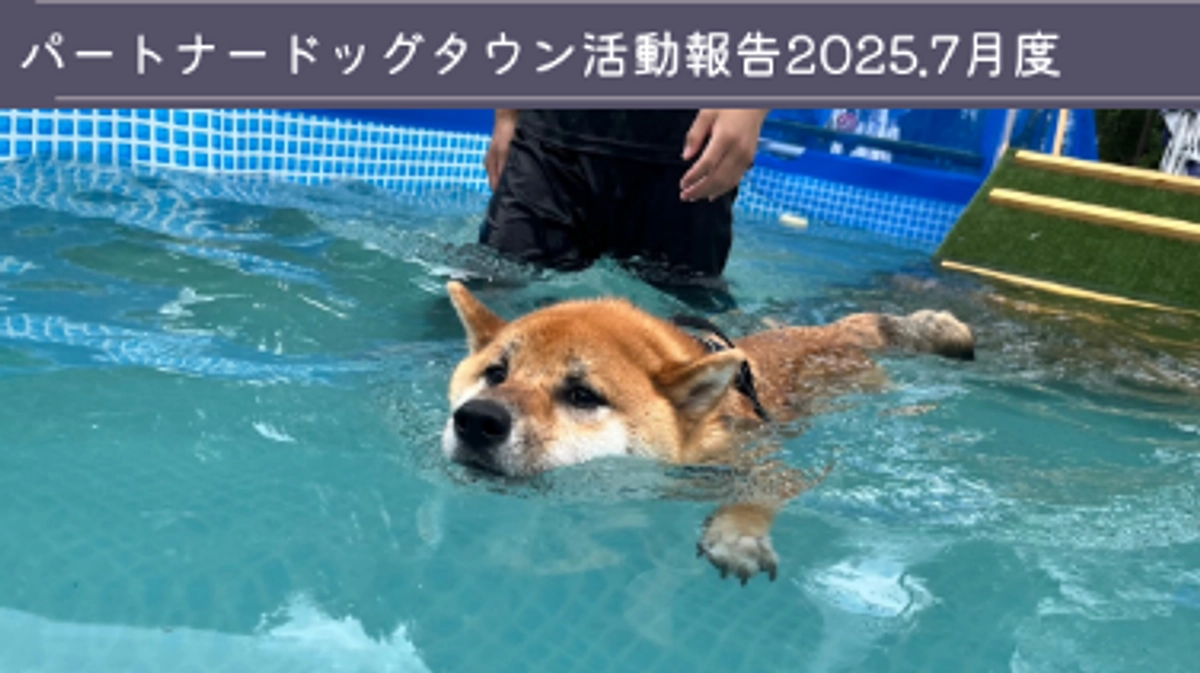 2025年7月活動報告