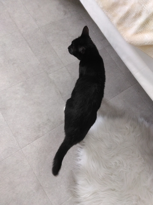 3/7はなちゃんの様子