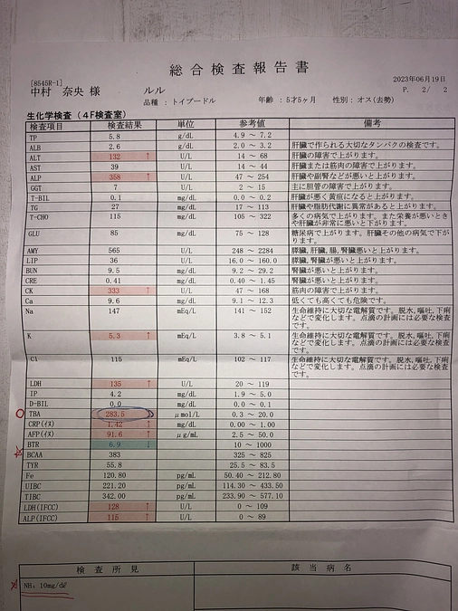 血液検査結果です。