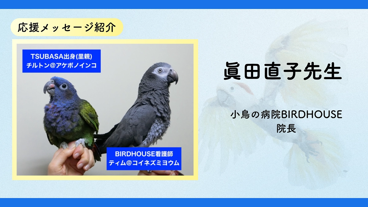 【応援メッセージの紹介】眞田直子先生