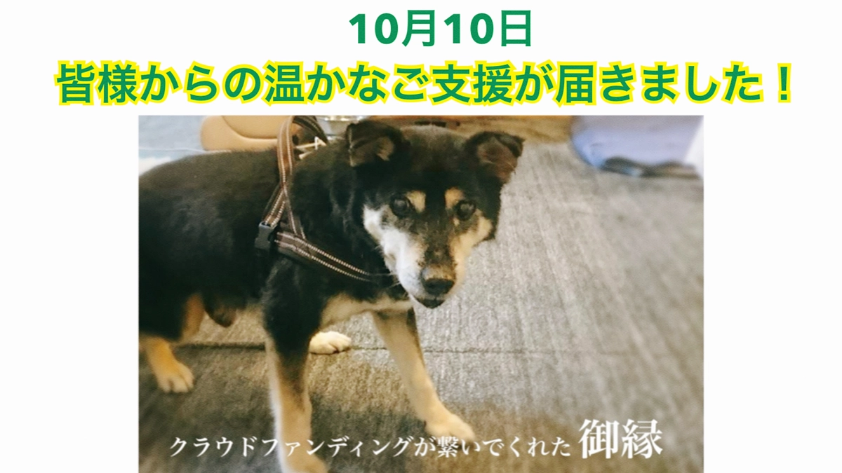 【皆様からのご支援が届きました！】