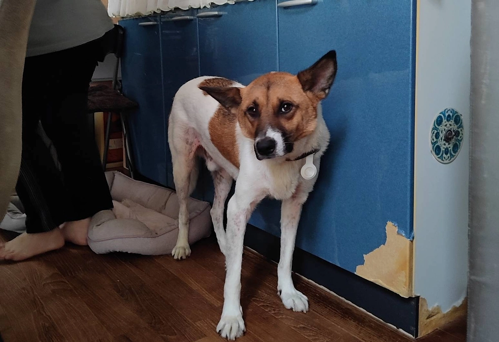 レーベンっ子達の日常、元気いっぱいです。