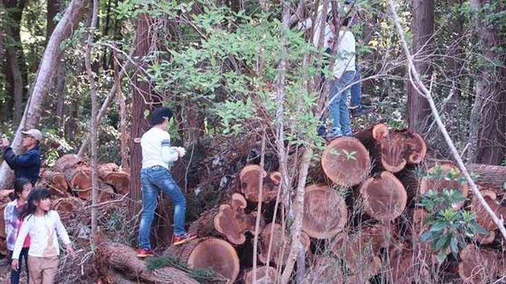 " 木育 "を通じて荒れた森を子どもたちと一緒に復活させたい！