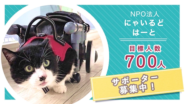 出会った命を守りたい！マンスリーサポーター募集中！