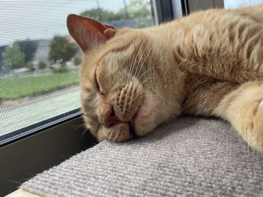 【あと11日】28日目の朝