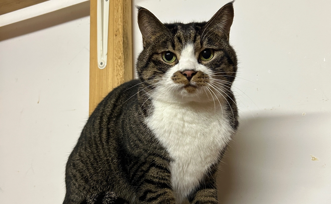 マンスリー応援5000円コース