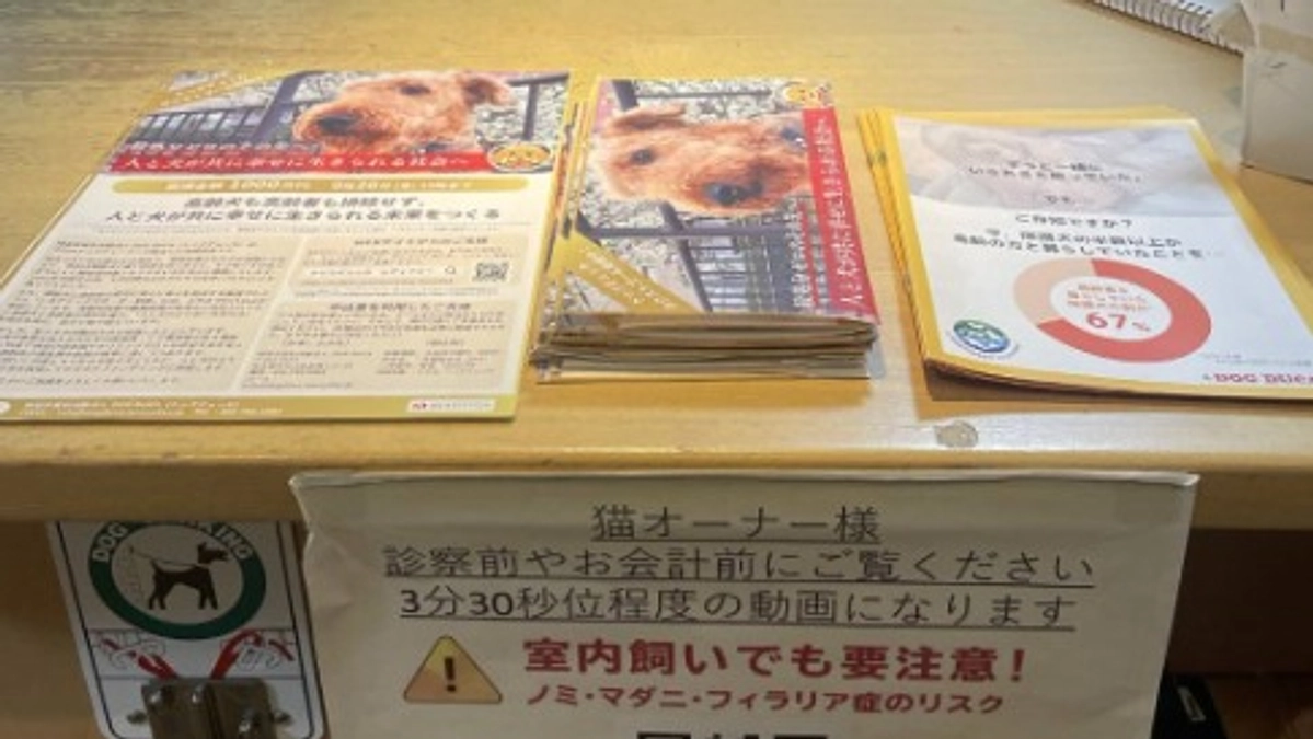 【残り15日！700万到達！】クラファンチラシ設置ご協力店のご紹介！Part２