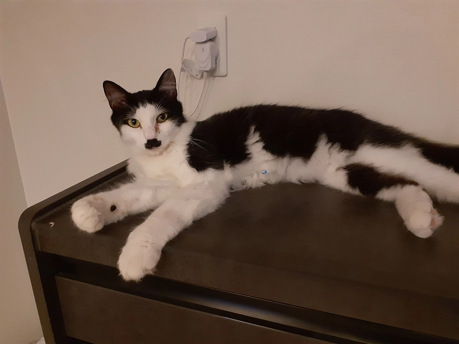 【うり君】新しいおうち決まりました！