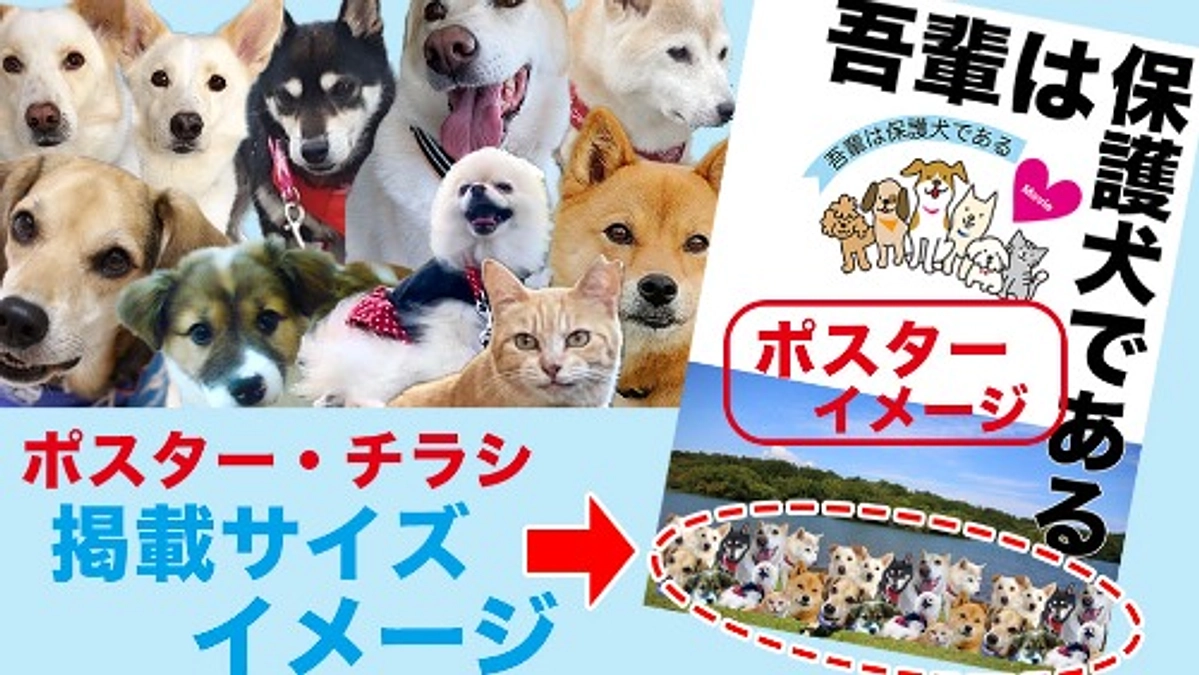 【リターン紹介①】愛犬が映画のポスターに！ポスター掲載コース｜3万8千円