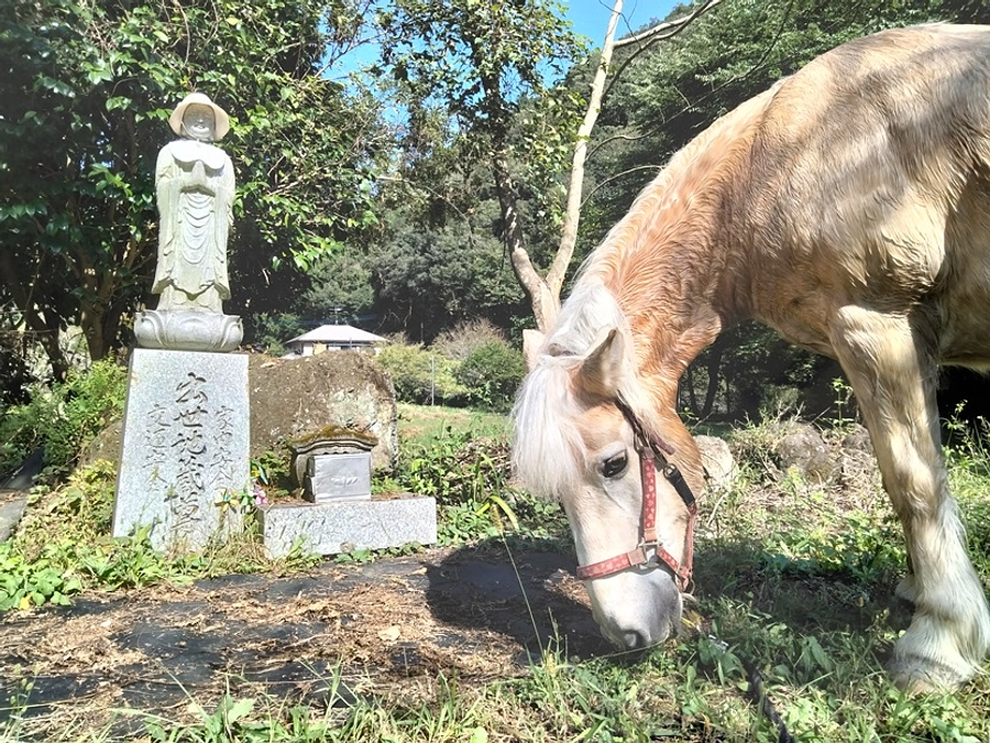 【60％まで到達しました！あと40％…！いつも応援ありがとうございます！】応援コメントのご紹介