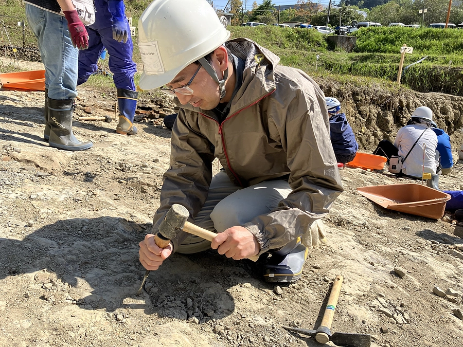 学芸員のお仕事紹介！古生物学　半田直人　～琵琶湖の周りにいた遠い昔の動物たち～