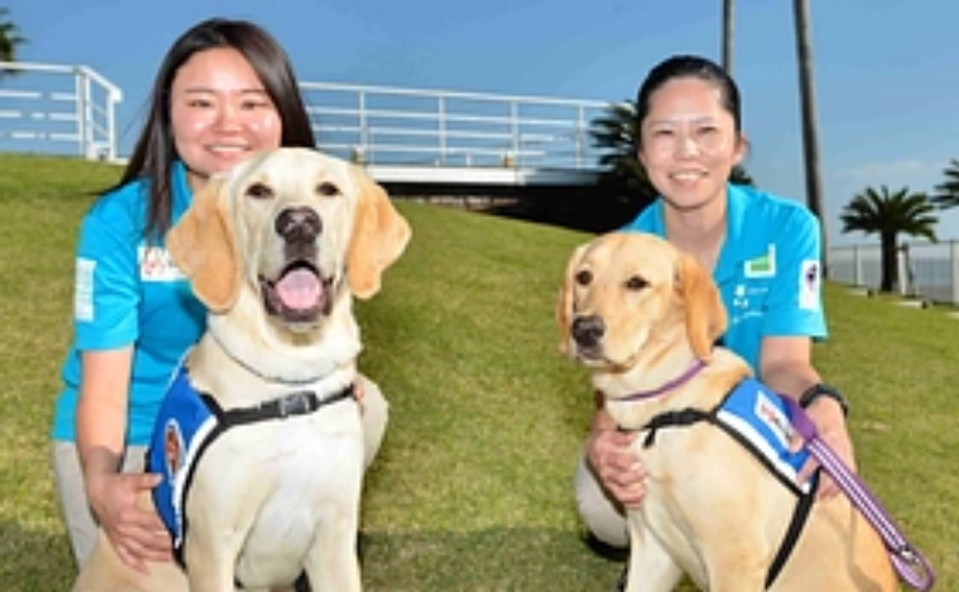 【法人向け】60万円寄付|候補犬があなたの会社を訪問【税制優遇対象】