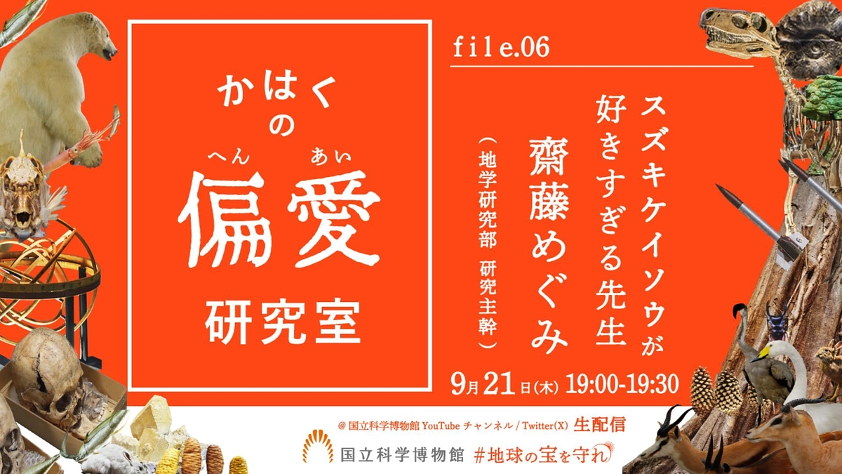 貴重】シダ化石 2点 詳細は説明文ご確認ください。-