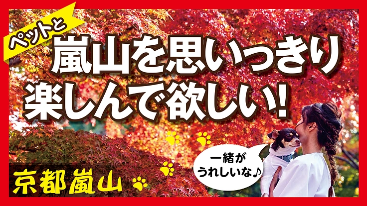 京都嵐山！ワンちゃんと泊まれるホテルからペットに優しい地域を作る！