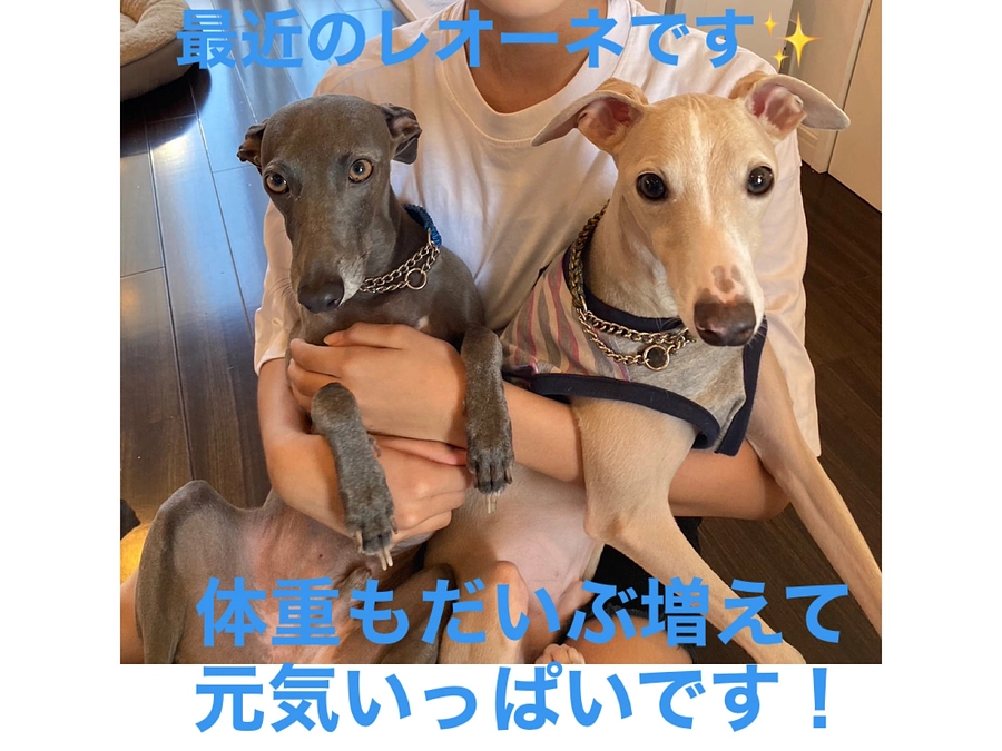 3ヶ月検診に行ってきました