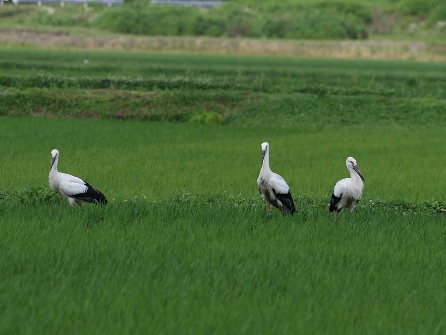 残り２日となりました！