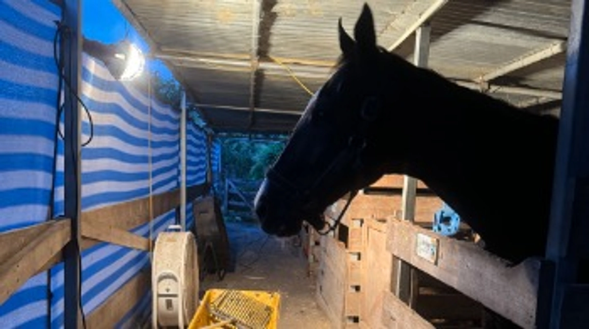 残り4時間！第四目標達成まであと少し！