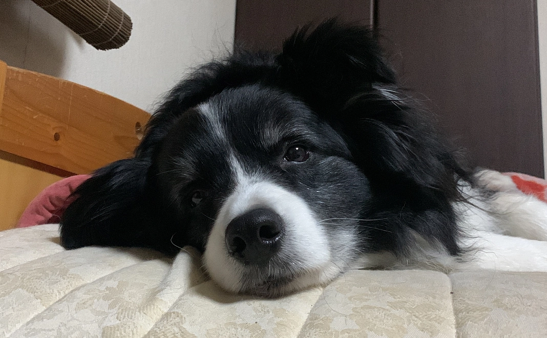 感謝のメール【1】