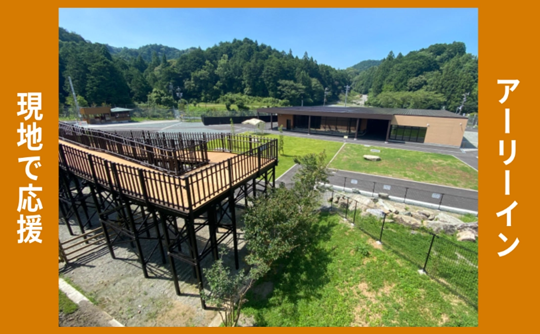 現地で応援｜アーリーイン（4名まで可）