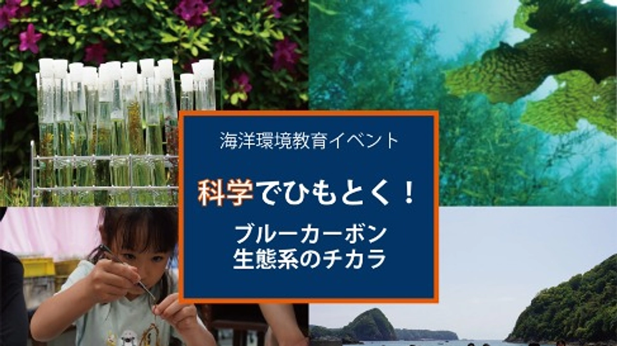高知県土佐市イベント情報：科学でひもとく！ブルーカーボン生態系のチカラ