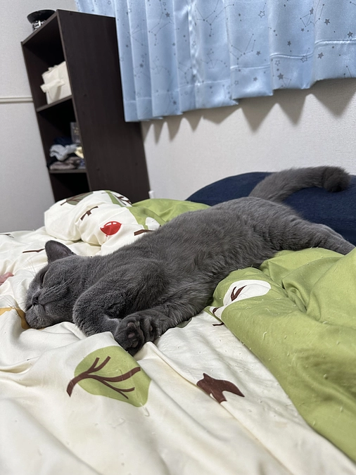 クラファン終了まであと1日