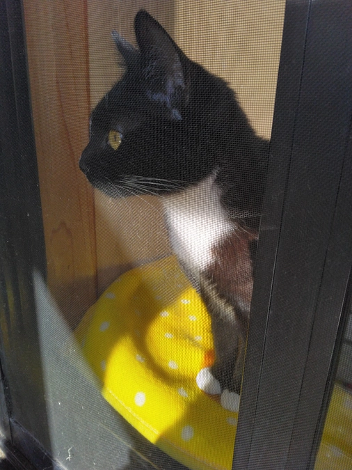 2/17はなちゃんの様子