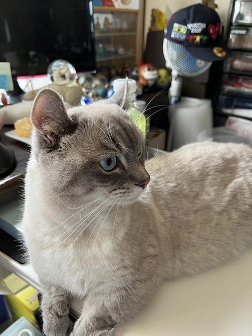 今日は朝から天気がいいのでポチタの体調も良さそうです。