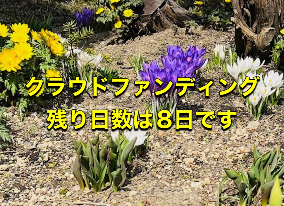 2024年11月4日が楽しみです✨