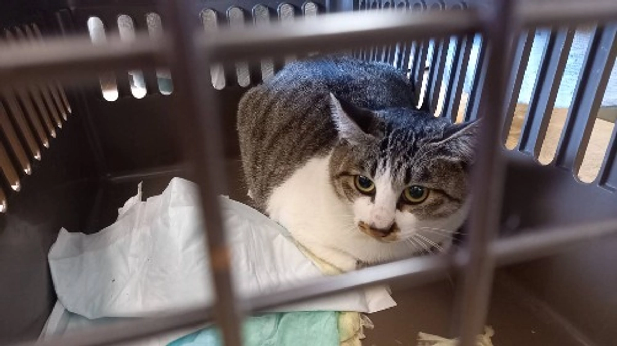 新年度のスタート