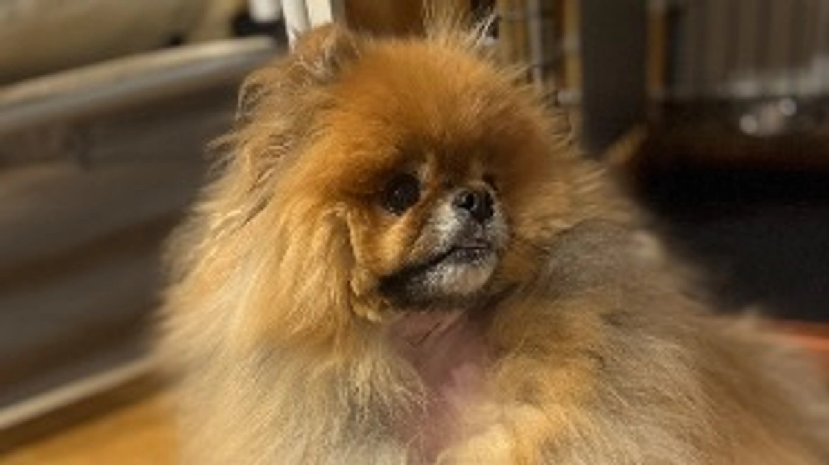 お久しぶりです！