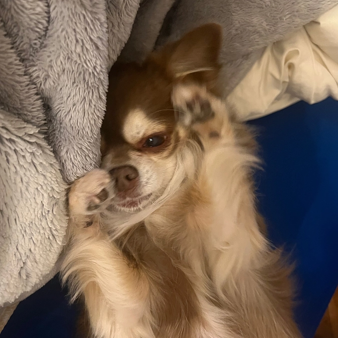 咳がとまりません。