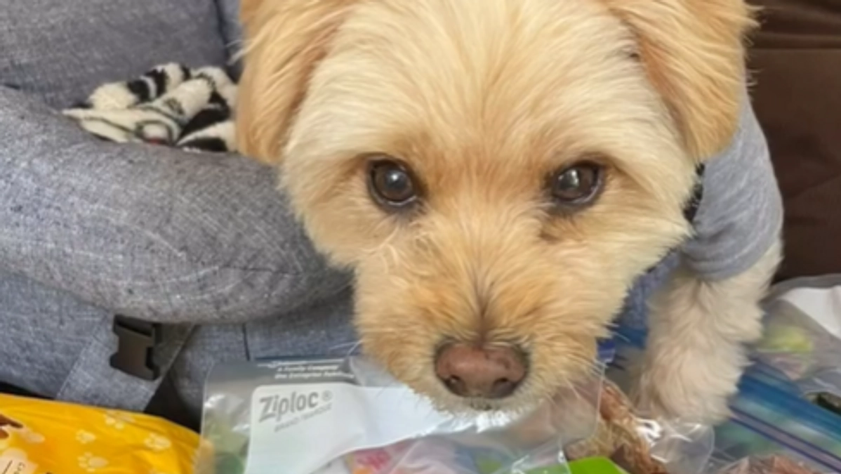 能登半島地震から4か月