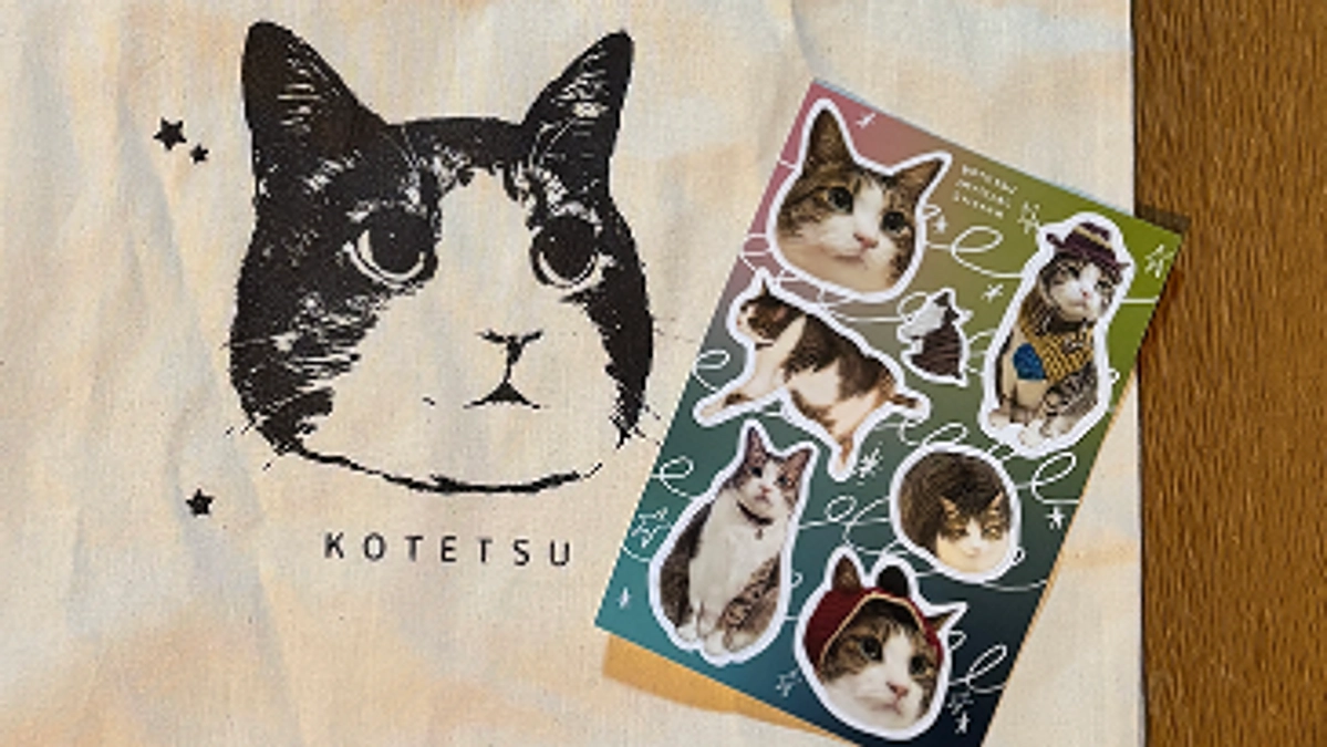 リターン返礼品のエコバック＆ステッカーのご紹介